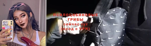 первитин Михайлов