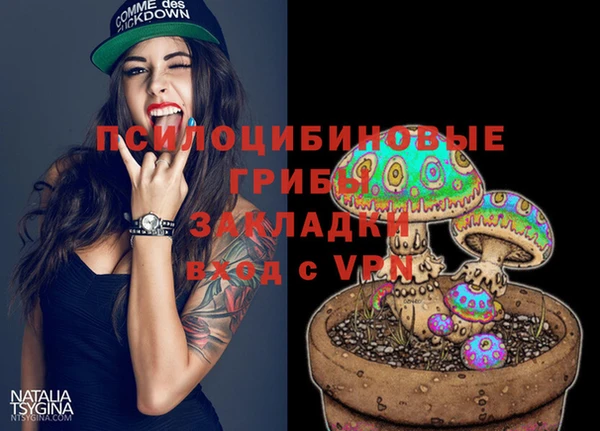 mdpv Михайловск