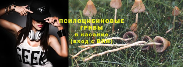 первитин Михайлов