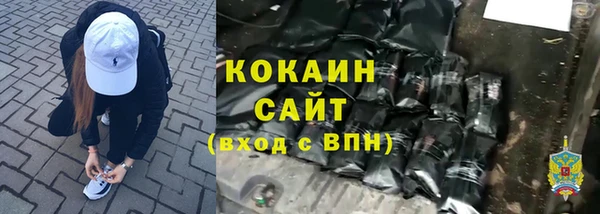 первитин Михайлов